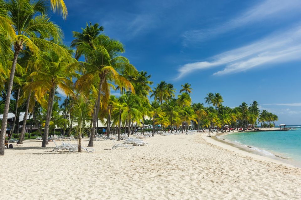 Beautiful tropical beach with clear blue water and palm trees